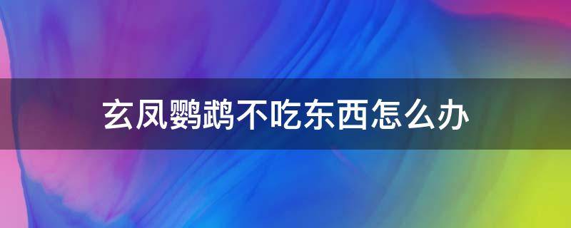 玄凤鹦鹉不吃东西怎么办 刚买的玄凤鹦鹉不吃东西怎么办