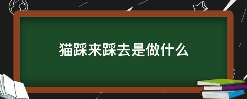 猫踩来踩去是做什么（猫喜欢踩来踩去）