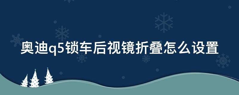 奥迪q5锁车后视镜折叠怎么设置 奥迪q5锁车后视镜折叠怎么设置方法