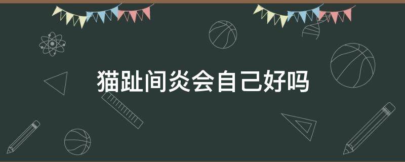 猫趾间炎会自己好吗 猫咪趾间炎自己会好吗