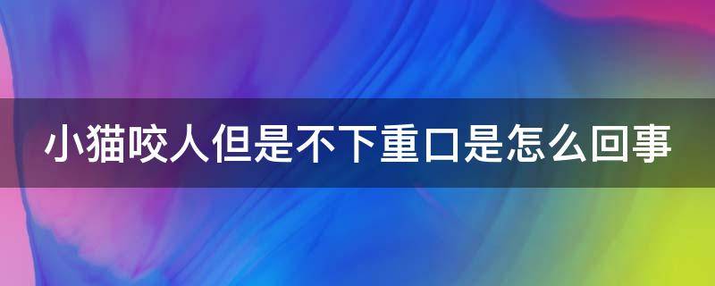 小猫咬人但是不下重口是怎么回事(小猫咬人怎么纠正)