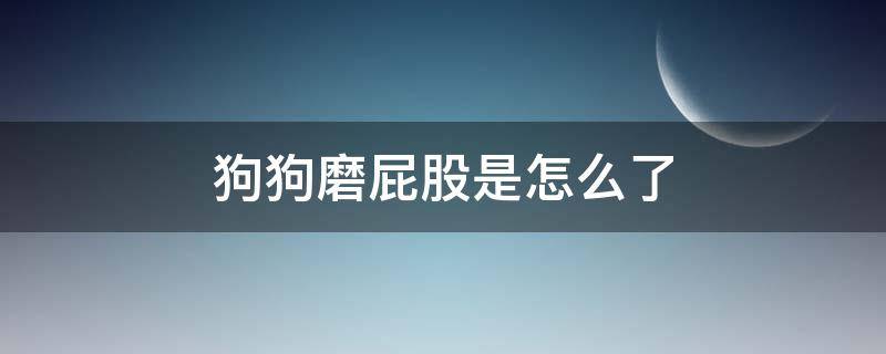 狗狗磨屁股是怎么了（狗狗磨屁屁是怎么了）