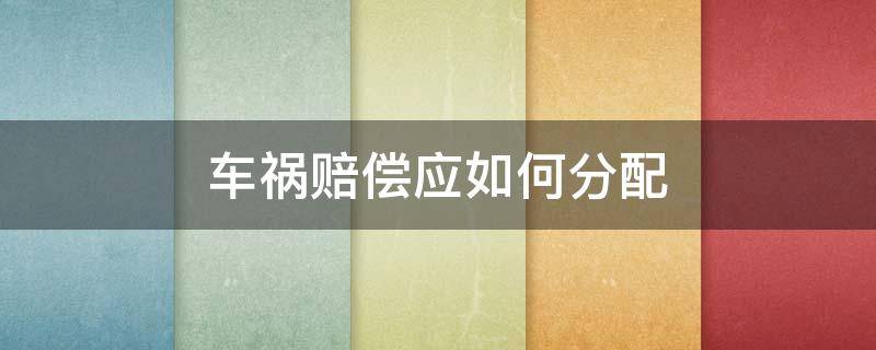车祸赔偿应如何分配（车祸赔偿怎么分配）