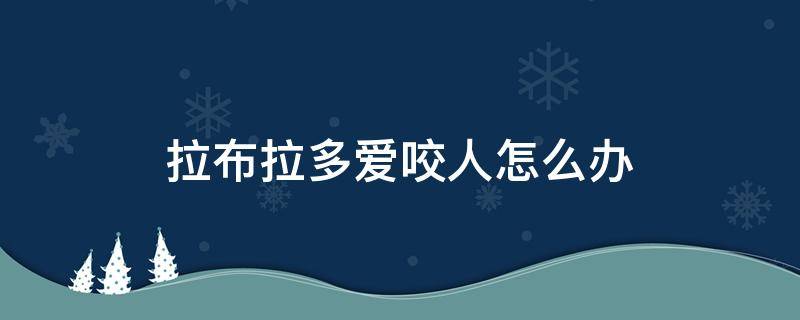 拉布拉多爱咬人怎么办 拉布拉多喜欢咬人怎么办