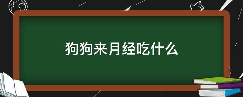 狗狗来月经吃什么（狗狗来月经吃什么补血）