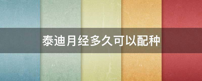 泰迪月经多久可以配种