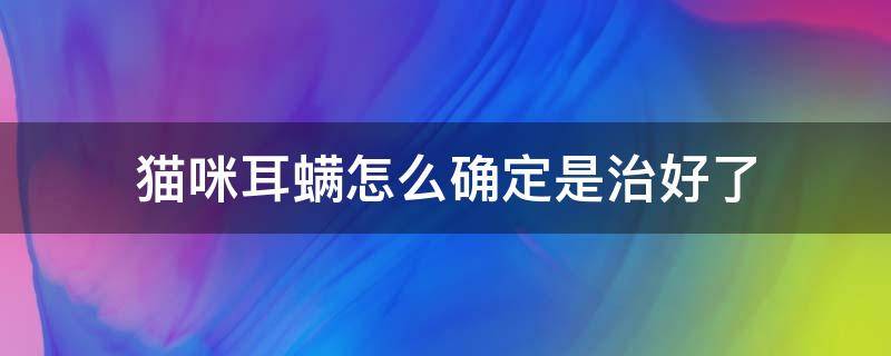 猫咪耳螨怎么确定是治好了（怎么判断猫咪耳螨治好了）