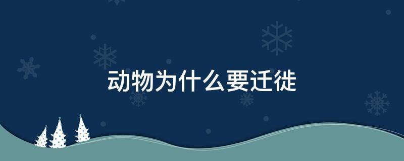 动物为什么要迁徙? 动物为什么要迁徙