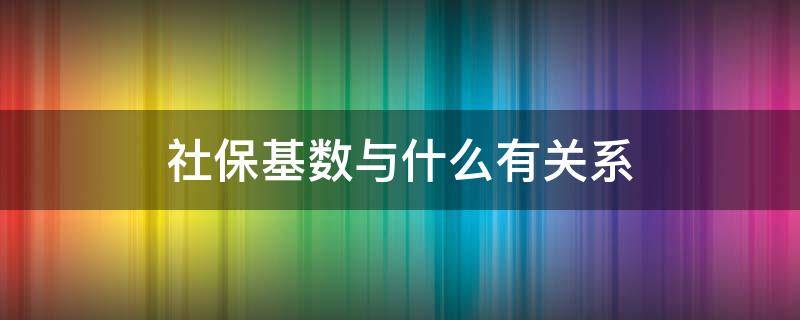 社保基数与什么有关系 社保基数与工资有什么关系