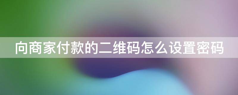 向商家付款的二维码能不能设置密码 向商家付款的二维码怎么设置密码