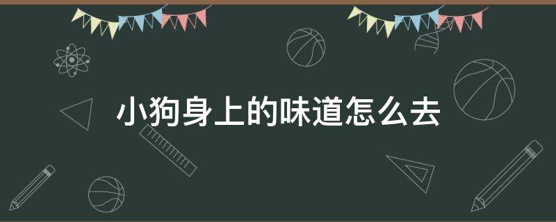 小狗身上的味道怎么去（怎么除去狗狗身上的味道）