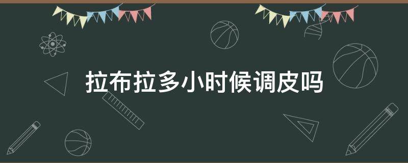 拉布拉多小时候调皮吗（拉布拉多小时候都很调皮吗）