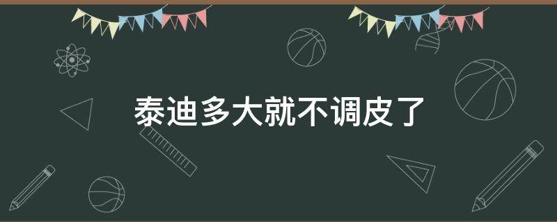 泰迪多大就不调皮了 泰迪多大就不那么调皮了