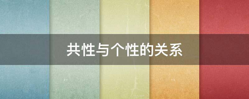 共性与个性的关系（课程体系改革中要处理共性与个性的关系）