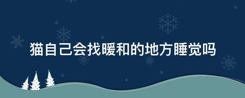 猫自己会找暖和的地方睡觉吗 猫知道找暖和的地方睡觉吗