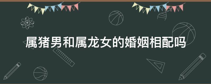 属猪男和属龙女的婚姻相配吗 属猪男婚配属龙女是否幸福?