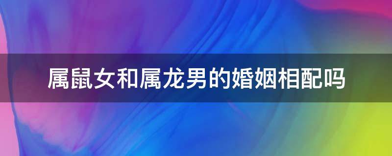 属鼠女和属龙男的婚姻相配吗 属鼠女与属龙男婚配好不好