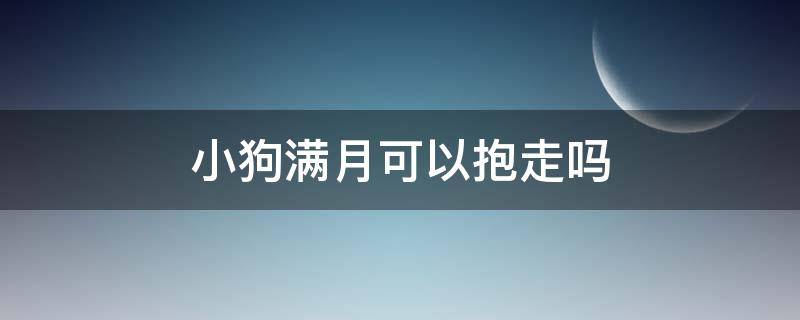 小狗满月可以抱走吗 满月的狗可以抱回家吗