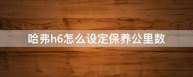 哈弗h6怎么设定保养公里数（哈弗h6保养完怎么调下次保养公里数）