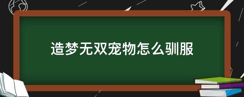 造梦无双宠物怎么驯服（造梦无双怎么养宠物）