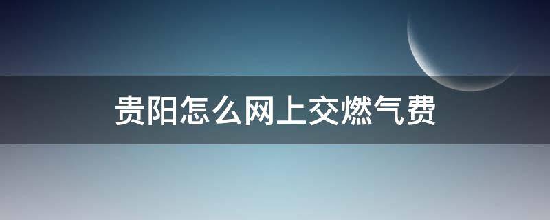 贵阳怎么网上交燃气费（贵阳燃气怎么收费）