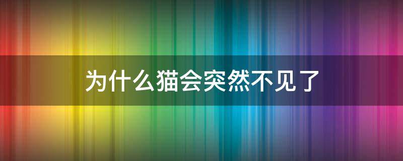 为什么猫会突然不见了（猫突然不见了预示什么）