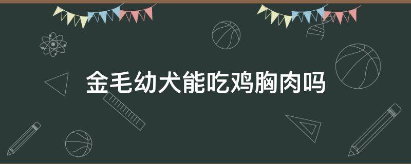 金毛幼犬能吃鸡胸肉吗（金毛可以吃鸡胸脯肉吗）