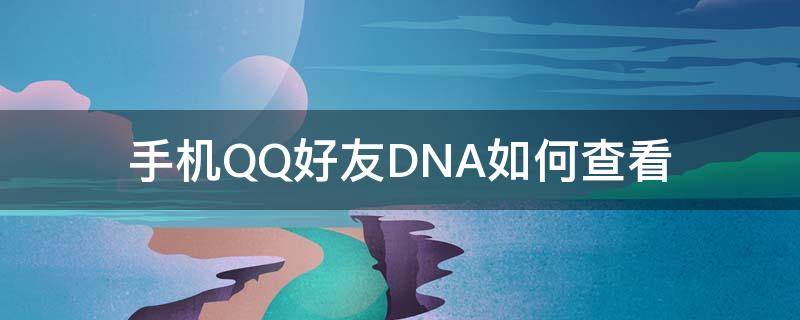 手机QQ好友DNA如何查看（怎么看QQ好友DNA）