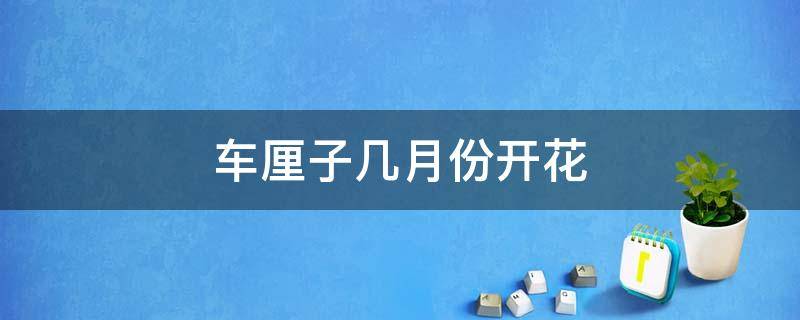 车厘子几月份开花 车厘子几月份开花几月份成熟