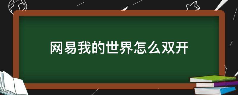 网易我的世界怎么双开（我的世界能双开吗）