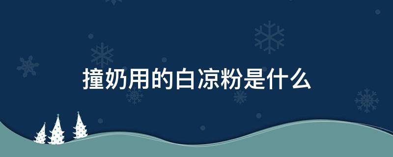 撞奶用的白凉粉是什么 做撞奶的白凉粉是什么东西