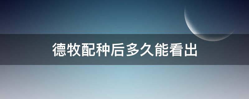 德牧配种后多久能看出（德牧犬配完种多少天能看出来）