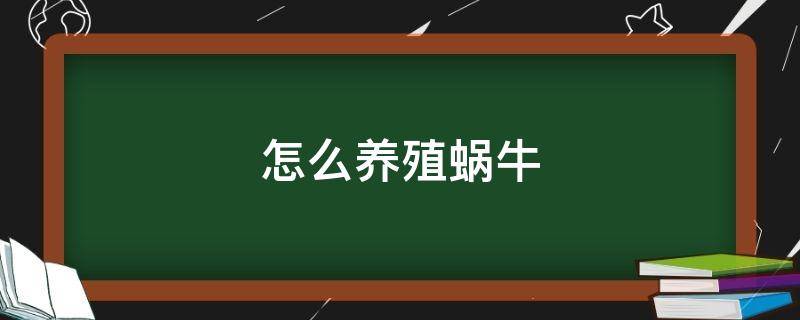 怎么养殖蜗牛 如何家养蜗牛