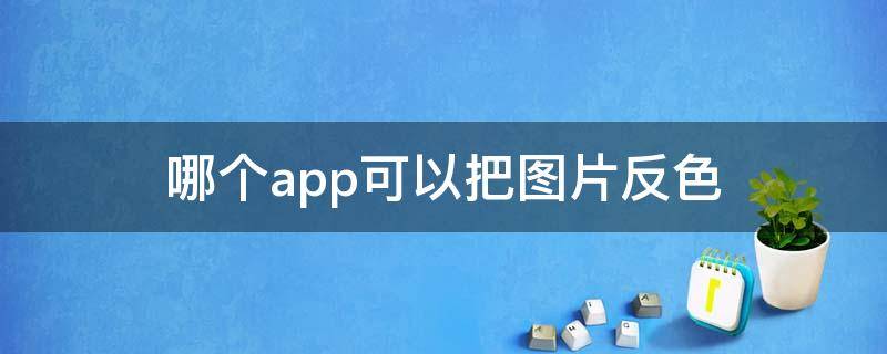 哪个app可以把图片反色（可以将图片反色的app）