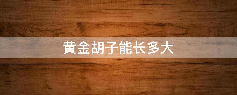 黄金胡子能长多大 黄金大胡子最大能长多大