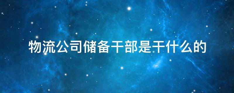 物流公司储备干部是干什么的（物流公司的储备干部是干嘛的）