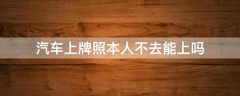 汽车上牌照本人不去能上吗（汽车上牌本人不去可以吗?）