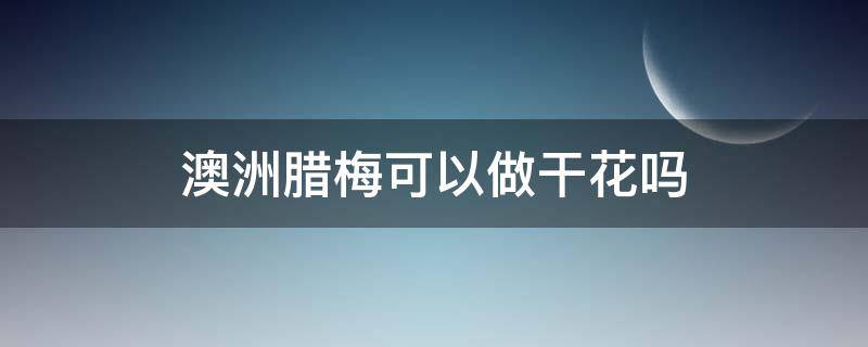 澳洲腊梅可以做干花吗 澳洲腊梅可以做干花吗还是要水培