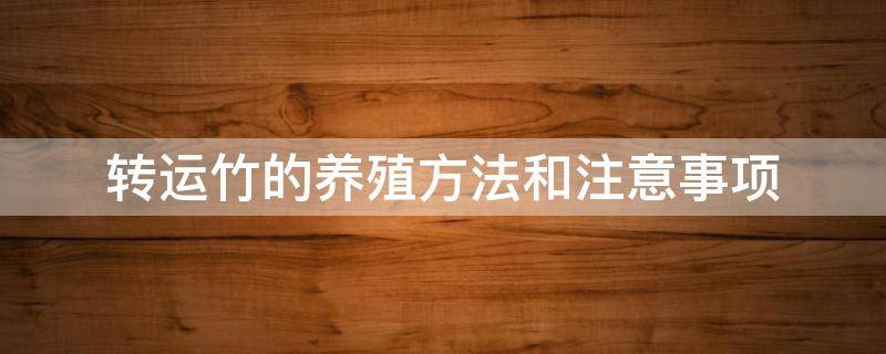 转运竹的养殖方法和注意事项 水培转运竹的养殖方法和注意事项