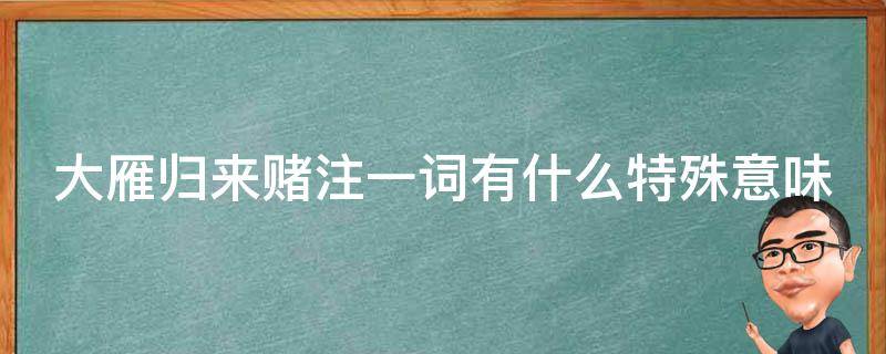 大雁归来赌注一词有什么特殊意味 大雁归来中