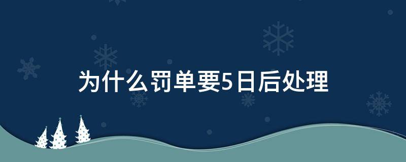 为什么罚单要5日后处理 罚单五日后处理 可以提前处理吗