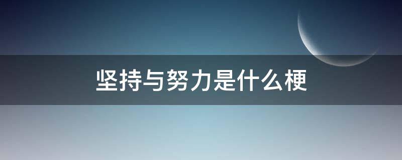 坚持与努力是什么梗（努力到底是什么意思）