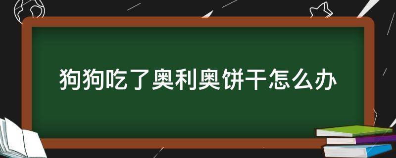 狗狗吃了奥利奥饼干怎么办 狗狗吃了一点奥利奥饼干怎么办