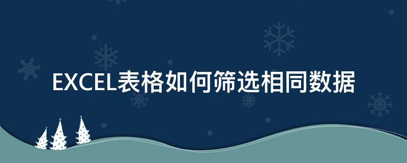 EXCEL表格如何筛选相同数据 excel表格怎么筛选相同数据