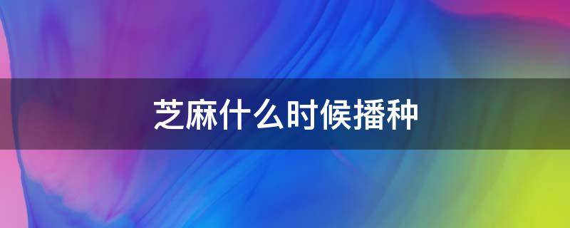 芝麻什么时候播种 芝麻什么时候播种最好