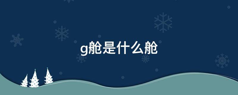 g舱是什么舱（g舱是什么舱怎么买）