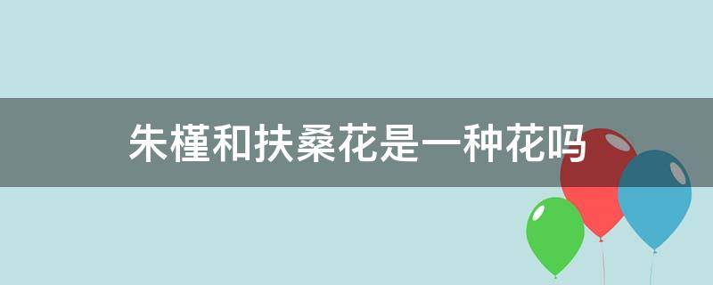 朱槿和扶桑花是一种花吗（扶桑花,木槿花,朱槿花有什么区别）