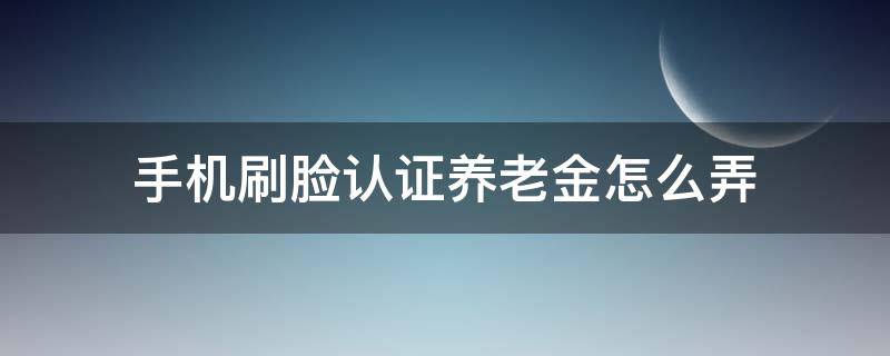 手机刷脸认证养老金怎么弄（养老金刷脸验证在哪）