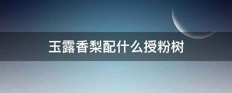 玉露香梨配什么授粉树（玉露香梨是什么嫁接）