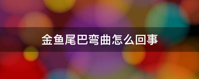 金鱼尾巴弯曲怎么回事 金鱼尾巴向上弯折